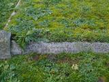 image of grave number 460765
